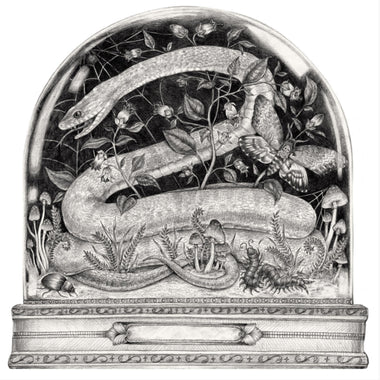 PLACEMATS - DIE-CUT SNAKE CLOCHE (Pack of 12)