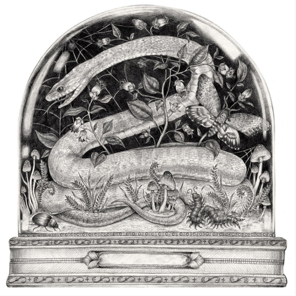 PLACEMATS - DIE-CUT SNAKE CLOCHE (Pack of 12)