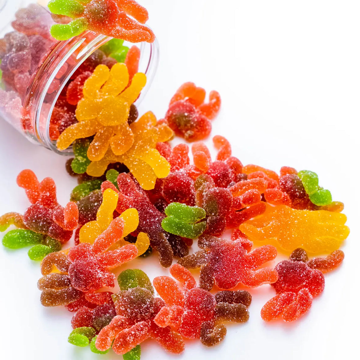 PREMIUM CANDY - SPOOKY SPIDERS