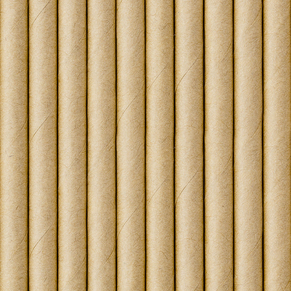 STRAWS - KRAFT (10 pack)