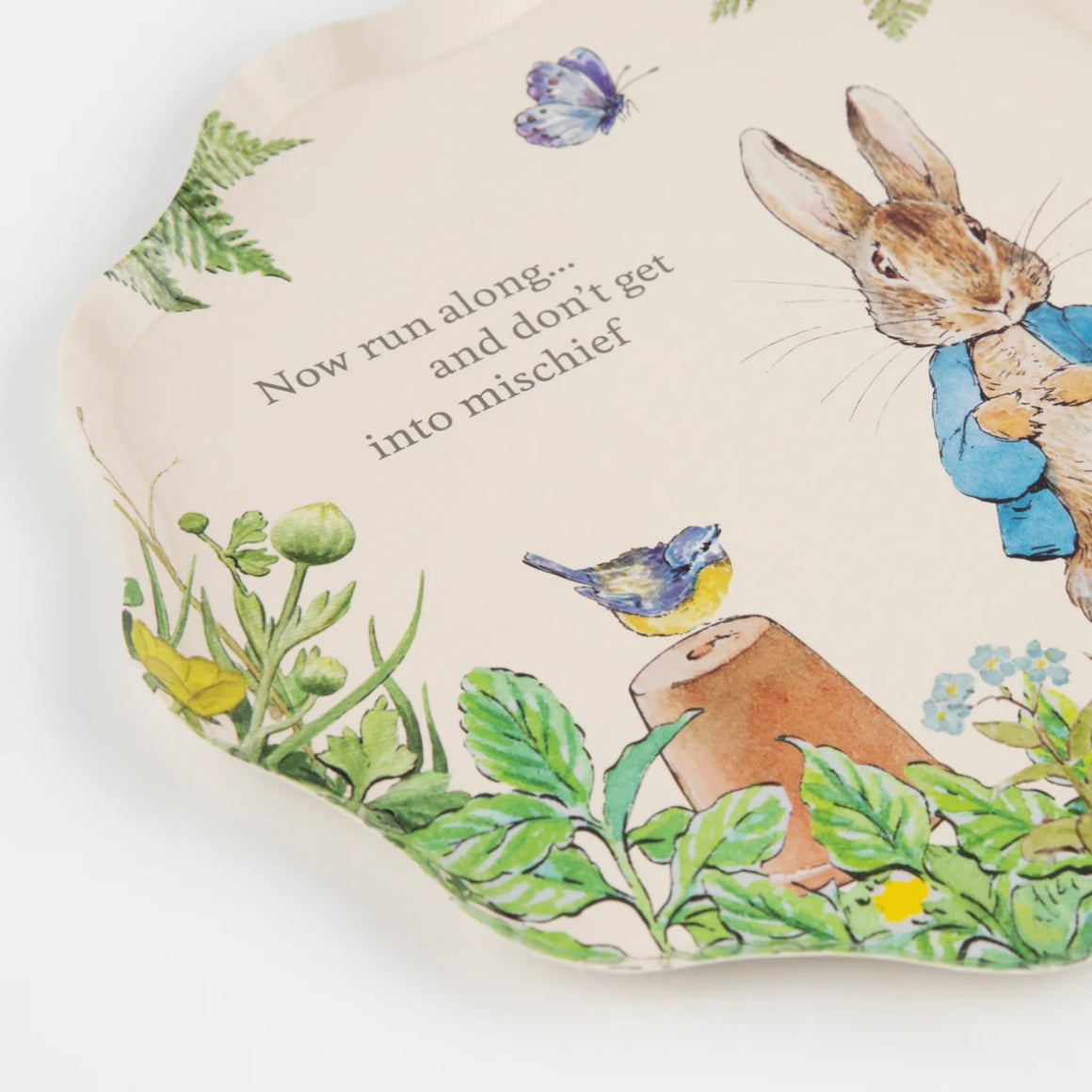 PLATES LARGE SIDE - ANIMAL BUNNY PETER RABBIT IN THE GARDEN
