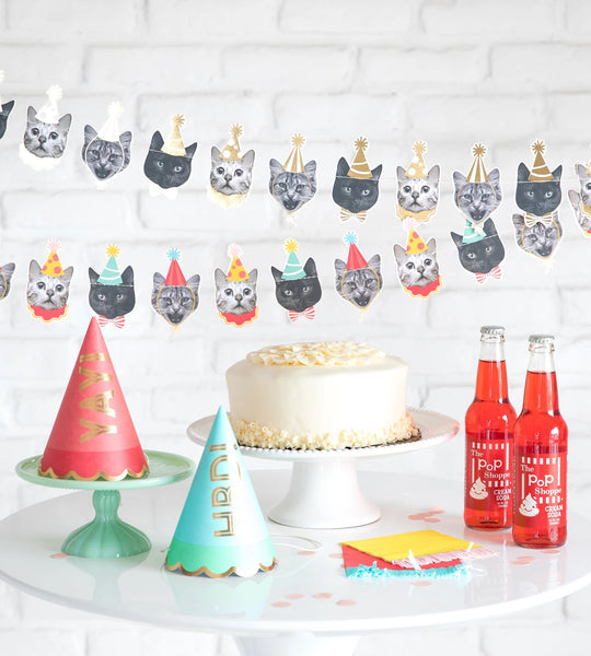 BANNER - PENNANT PARTY CATS