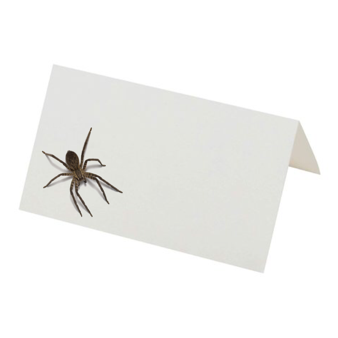 TENT PLACE CARDS - SPIDER
